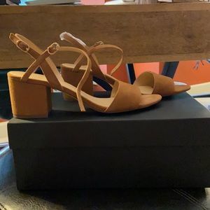 Wide Strap Block Heel Sandal in Suede